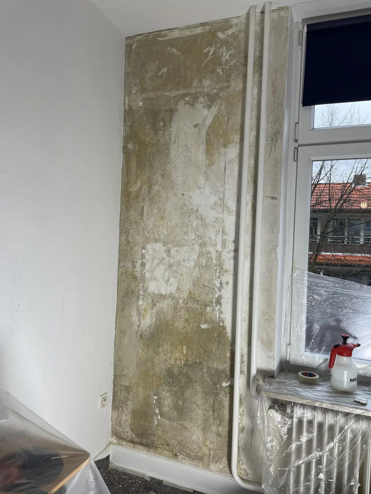 Wand vor der Renovierung mit Schimmelbefall in Hamburg